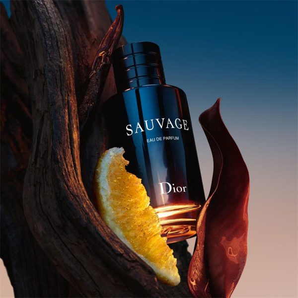عطر ادکلن ساواج دیور | Dior Sauvage - Image 4